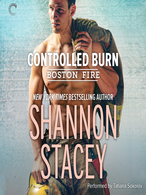 Title details for Controlled Burn by Shannon Stacey - Wait list